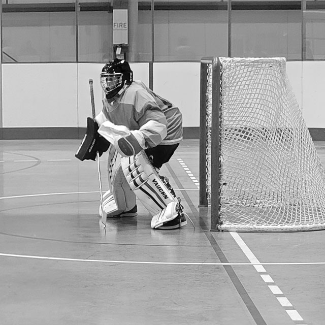 Goalie ready for a shot